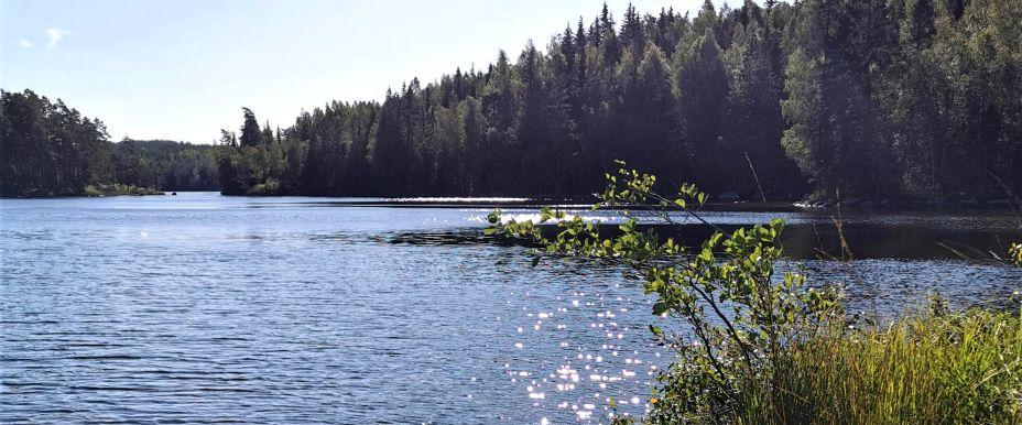 Älgsjön m fl tjärnar - Image 1