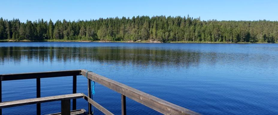 Dammtjärnet (P&T)