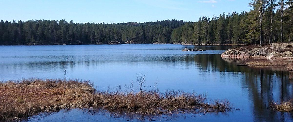 Rinnen, Stensvattnet, Stora Ulvsjön m fl vatten - Image 1