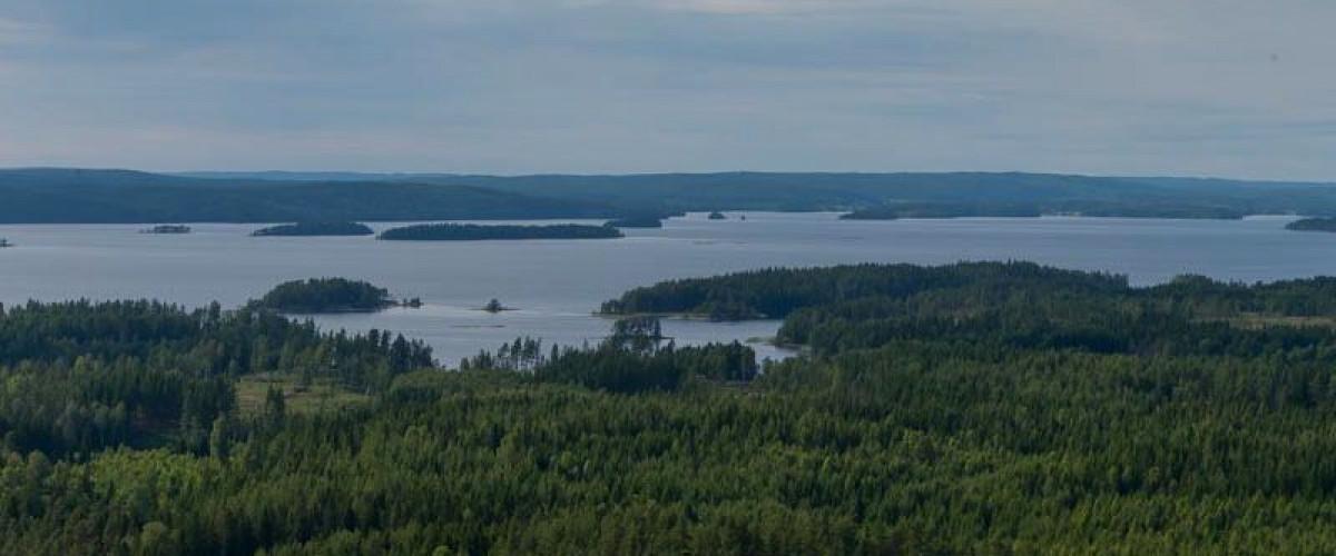 Foxen Stora Le - Image 1