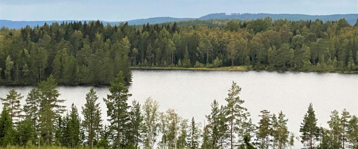 Grundsjön, Stensjön, Stora Ovantjärnen m fl - Image 1