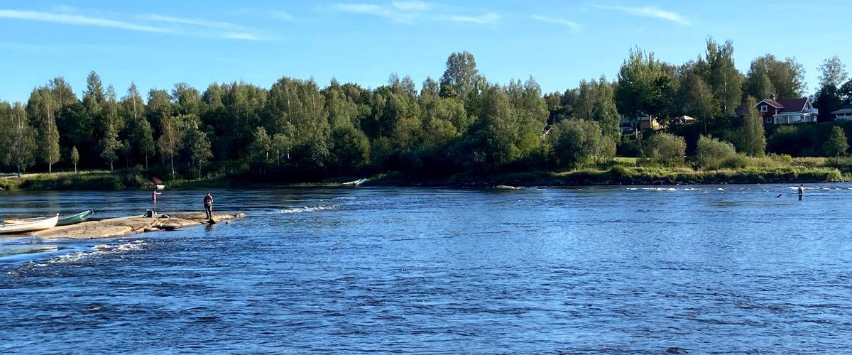 Klarälven-Löved FVOF - Image 1