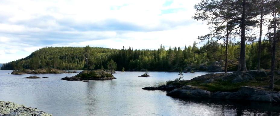 Ströms Vattudal, Ögelströmmen, Gärdviken m fl vatten - Image 1