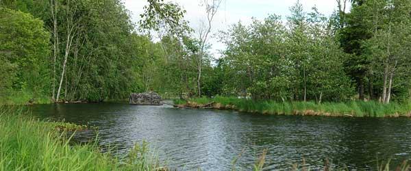 Hinnsjöns FVO - Image 1