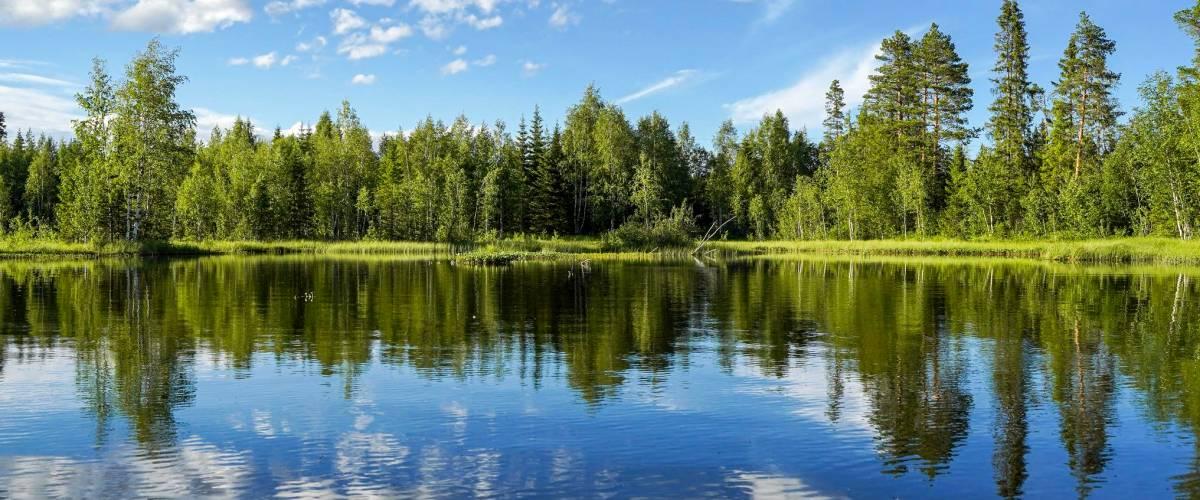 Granboforsen, Indalsälven m fl vatten - Image 1