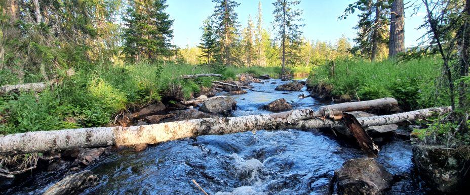 Storsjön, Sölvbacka strömmar, Skärkån m fl vatten - Image 1