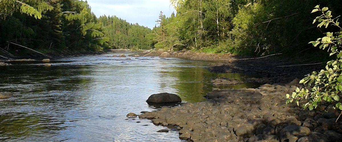Nedre Ammeråns FVOF - Image 1