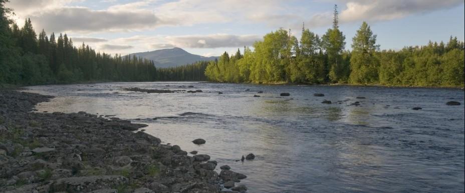 Brattlandsströmmen Åresjön - Image 1