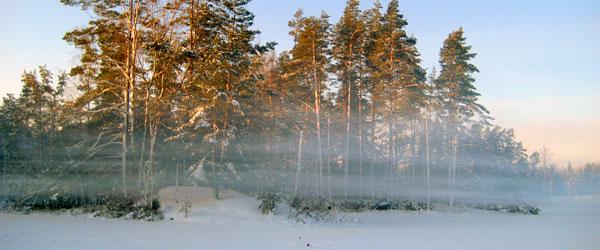 Stora Bjärn - Image 1