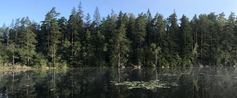 Pickesjön - Image 1