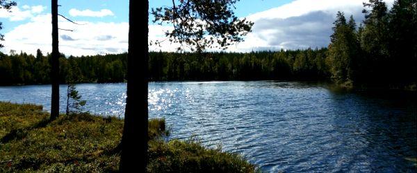 Lillsiktensjön