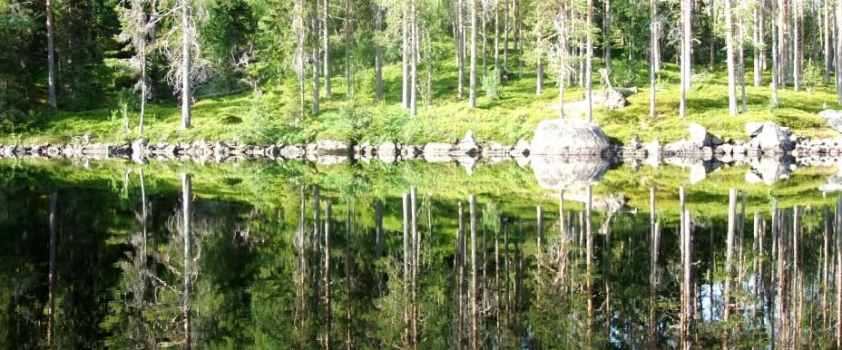 St Brinnsjön - Image 1