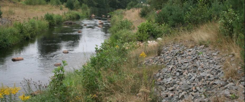 Hjälmsjön Pinnån - Image 1