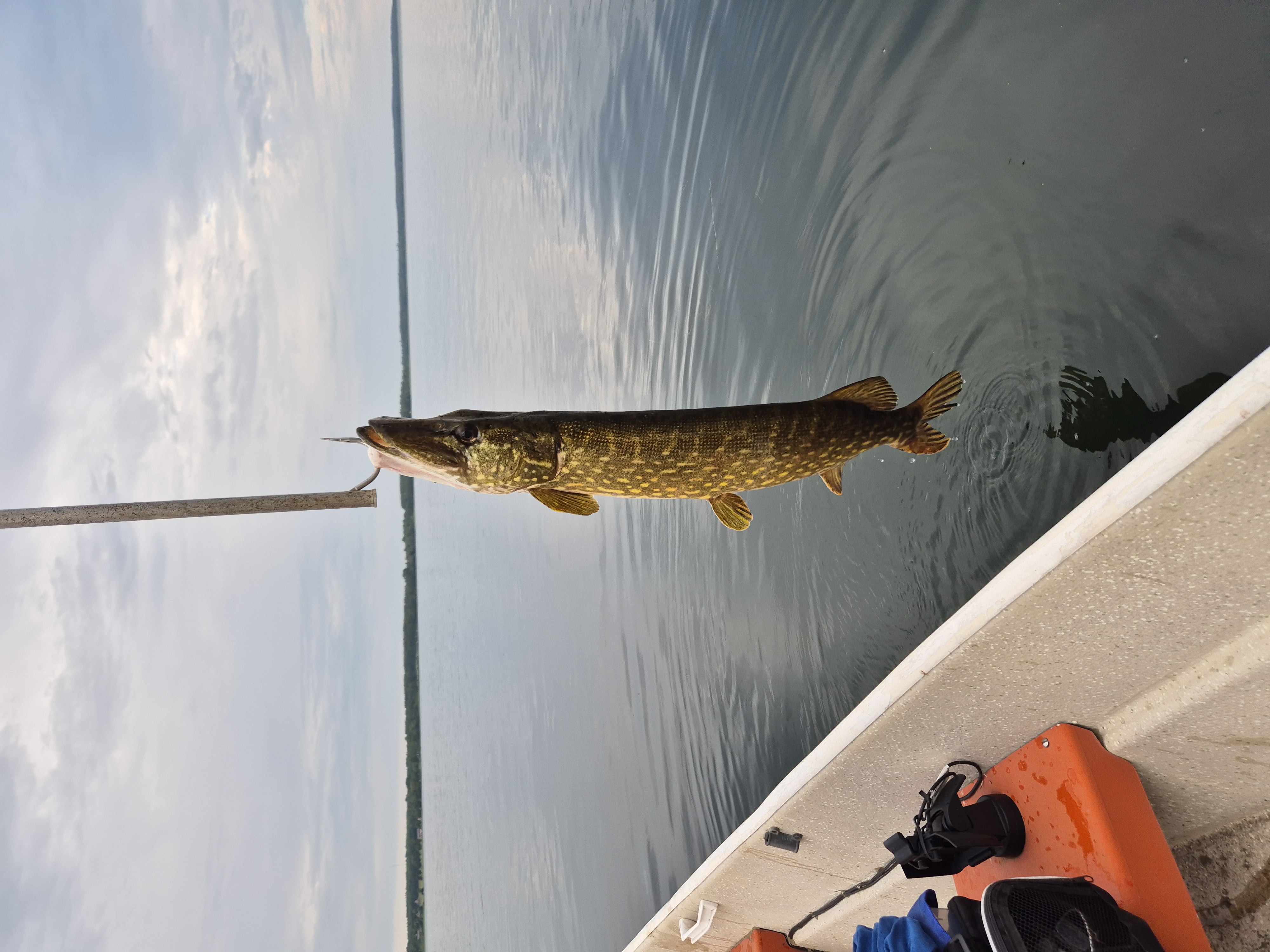 boren fishing pole Catch reports, Boren