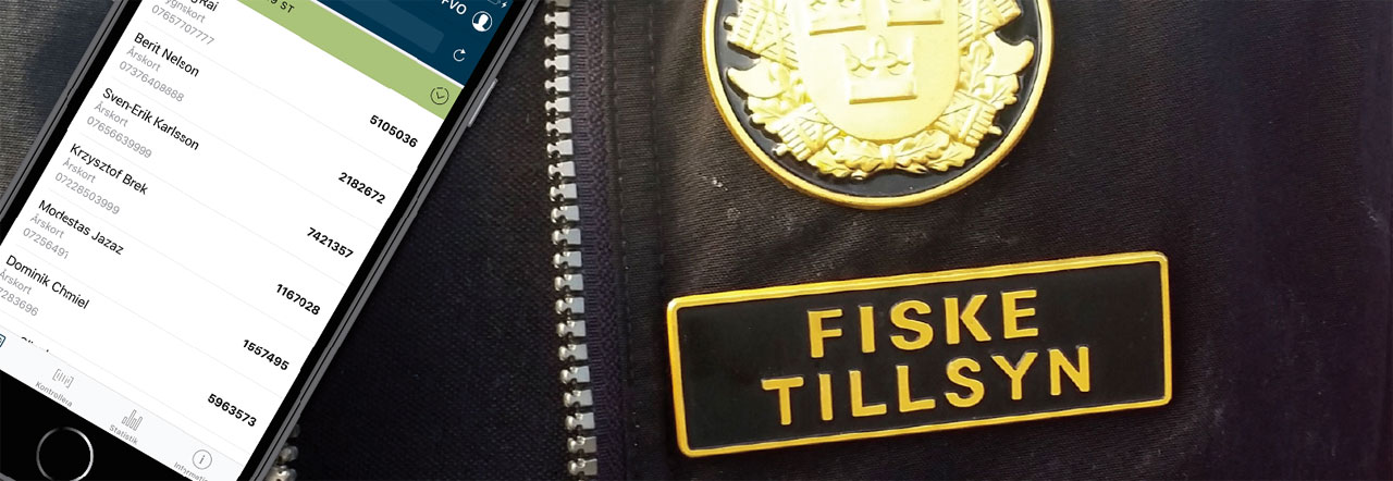 Fisketillsyn