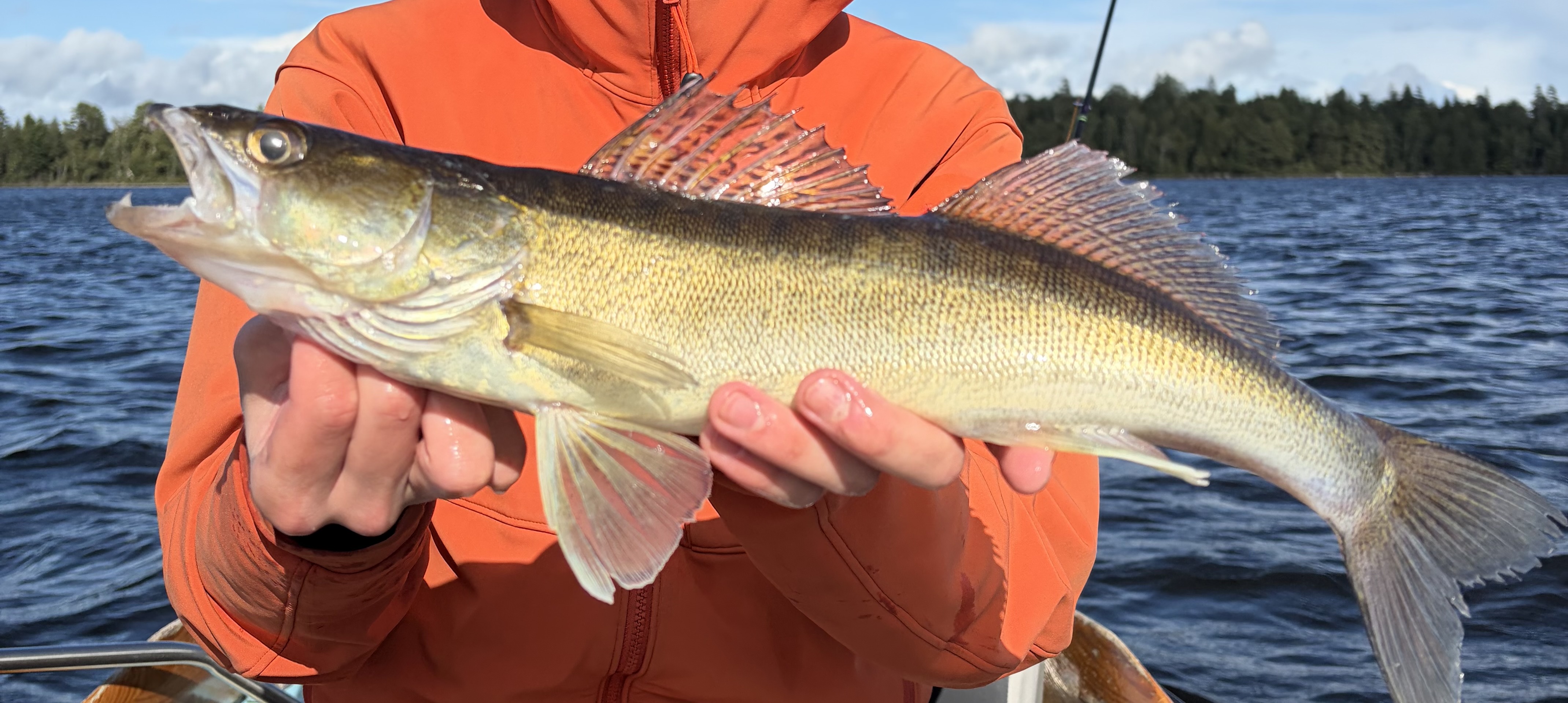 Fishing in Toftasjön, Yasjön, Skirsjön