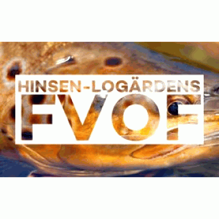 Logo Hinsen-Logärdens FVOF