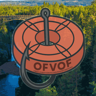 Logo Orsa FVOF