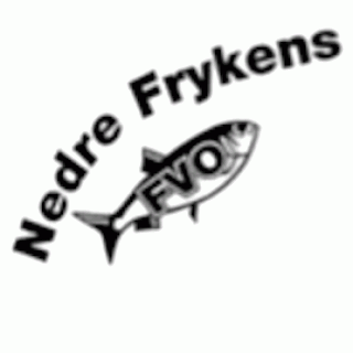 Logo Nedre Frykens FVO
