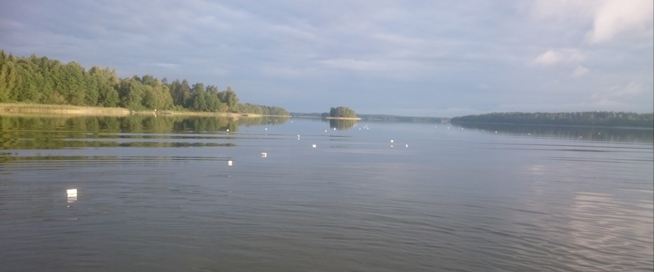 Gavel-Långsjöns FVO