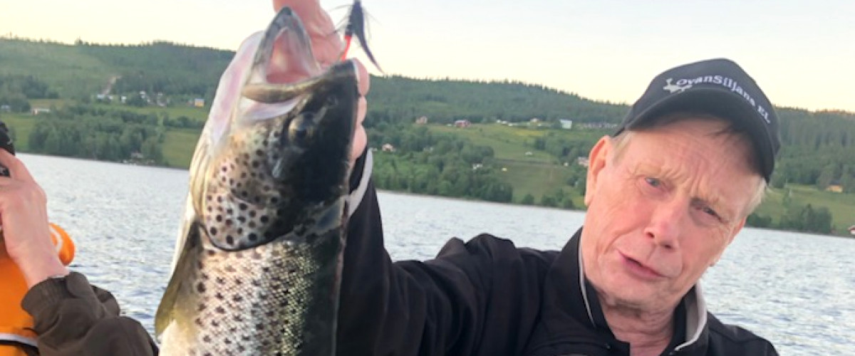 Large trout on Lake Jormsjön