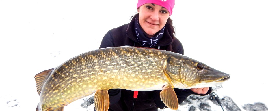 Ice bait for pike