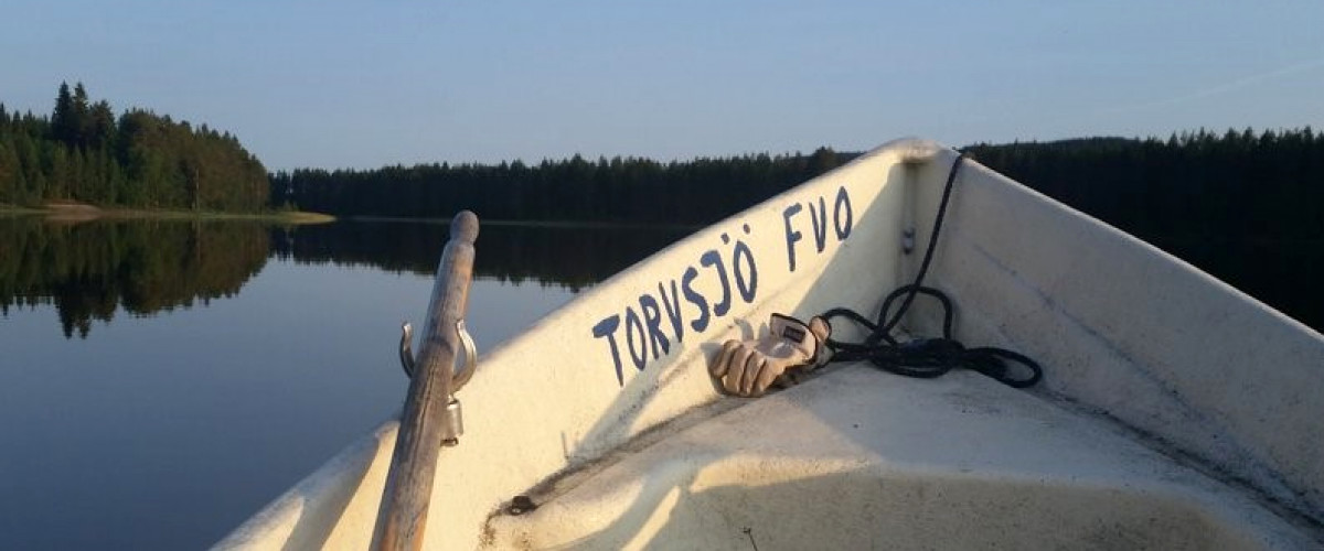 Torvsjö FVOF (Åsele)