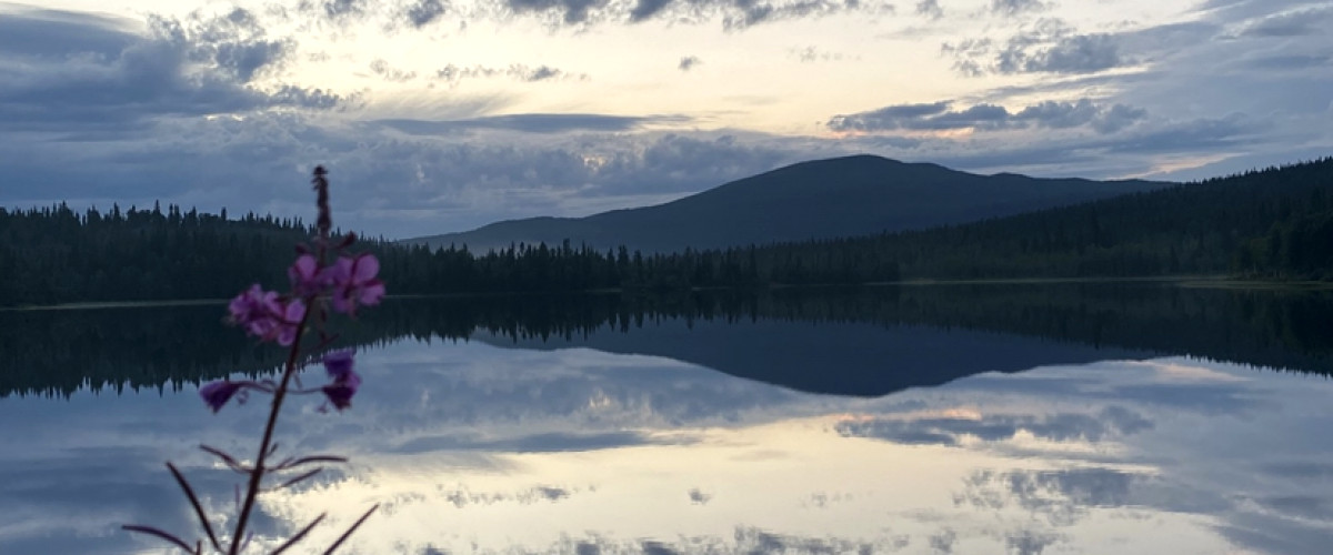 Östra Småvattnet - kväll