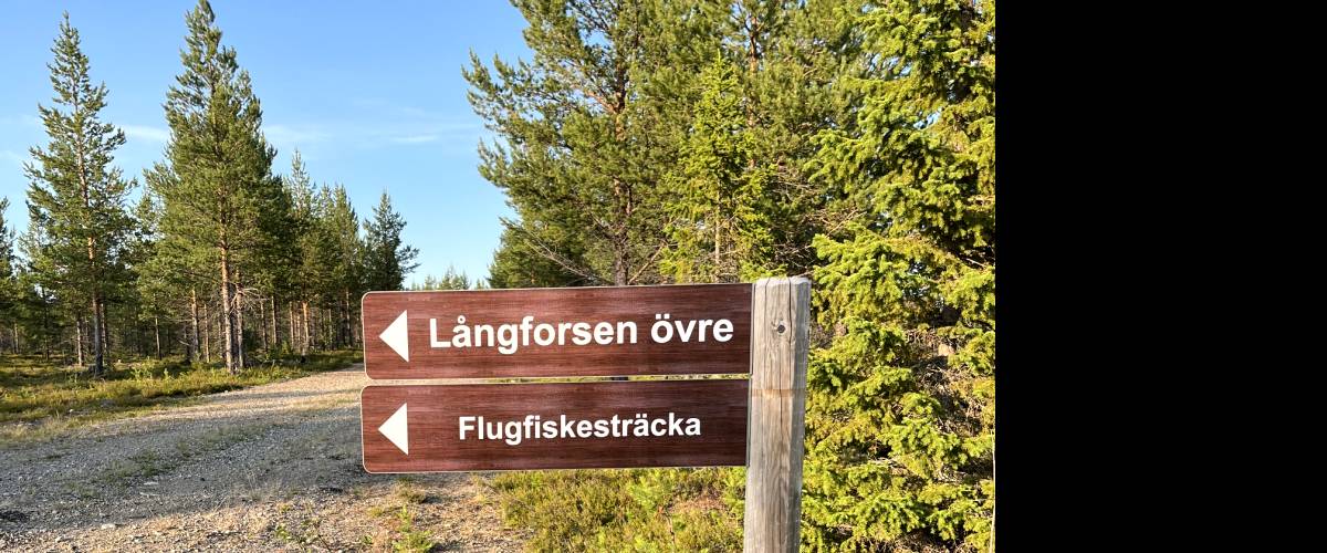 Flugfiskesträcka södra sidan