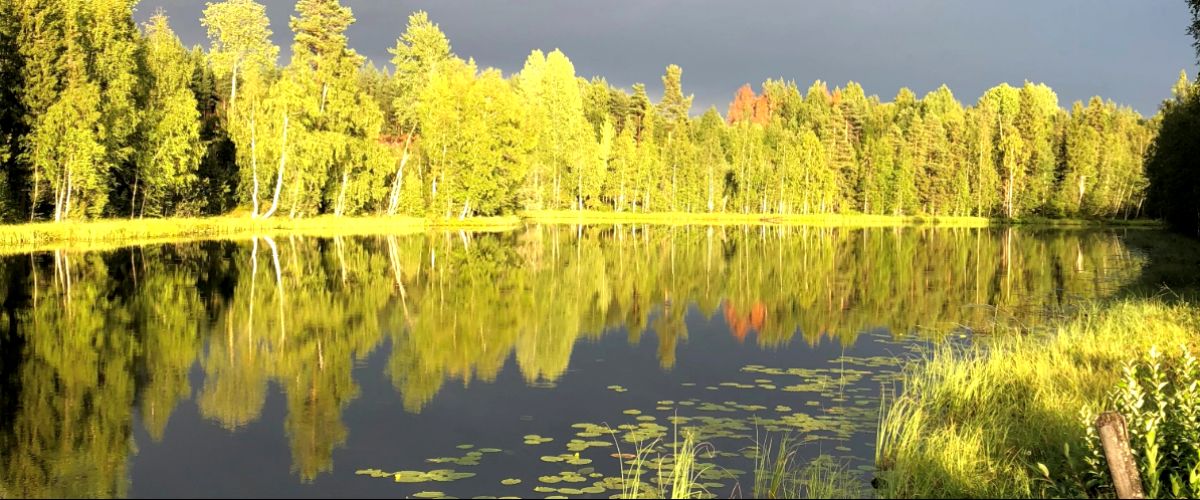 Långtjärn