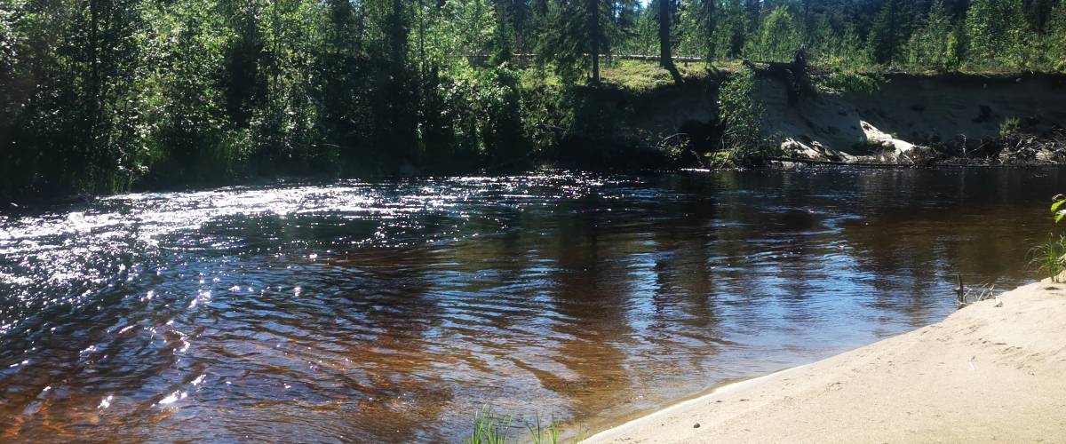Lögdeälven vid Bränna