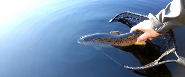 Fiske i Smålandsfiskarnas dammar i Slageryd (iFiske.se)