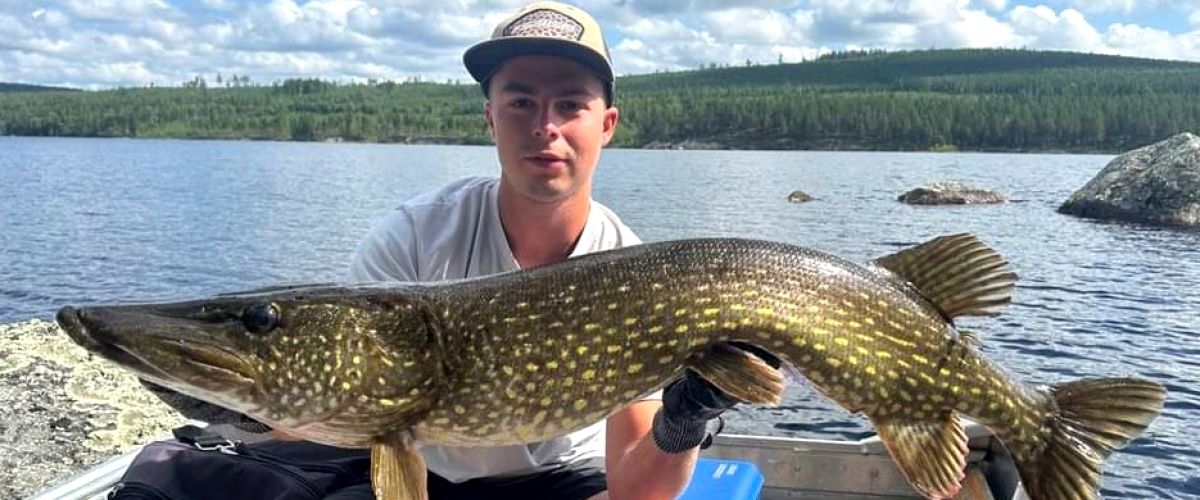 Lähettäjä Fredrika Cottage and Fishing