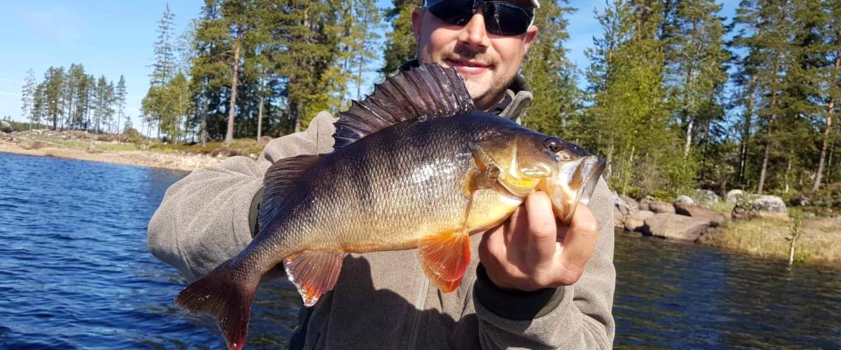 Submitted by Fredrika Cottage and Fishing