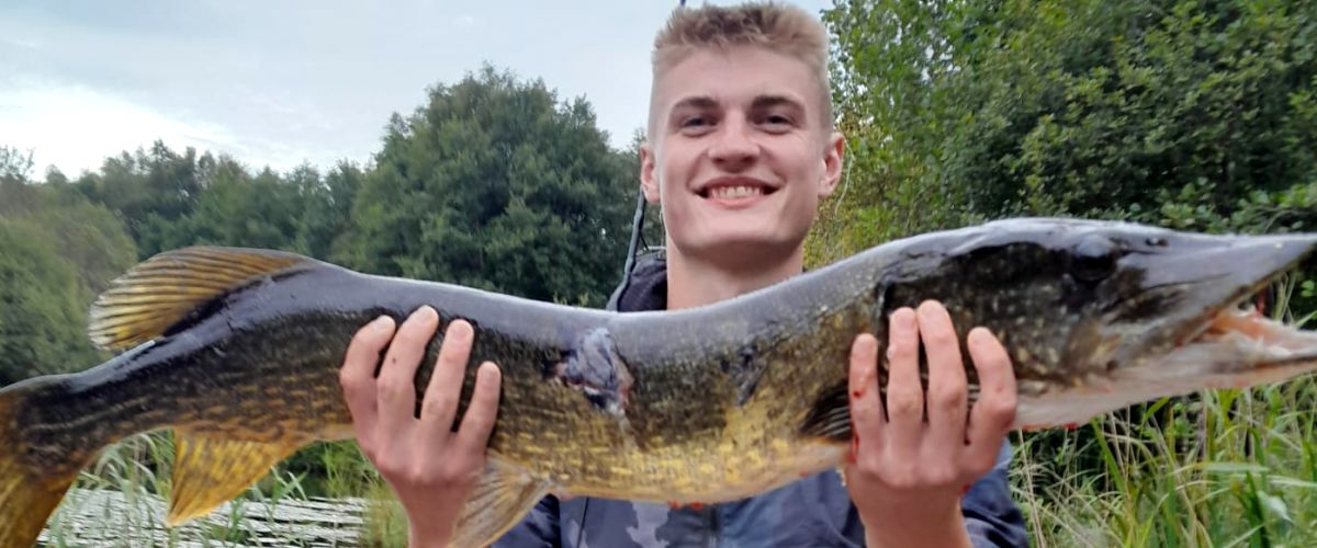 Hauki elokuussa 2025