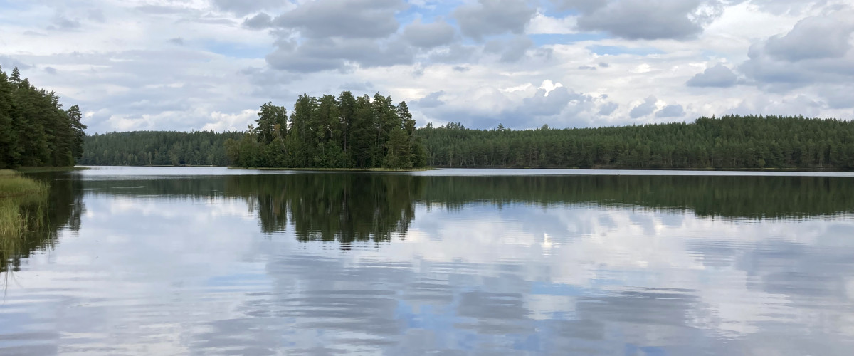 Die Hirsche vom Brückenufer mit Dackön