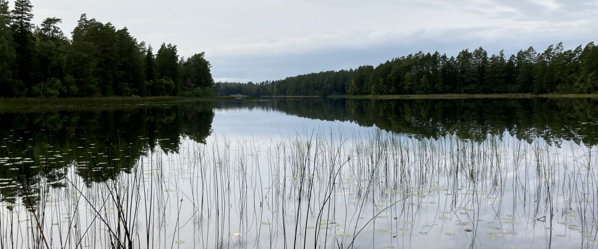 Långviken von der Ostseite
