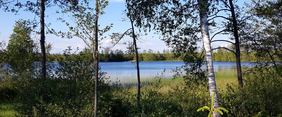 Sävsjön-järvi - alue 3