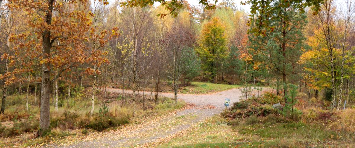 Entrance to boat ramp